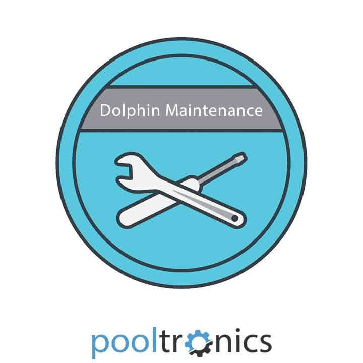 Safe storage tips for a Dolphin robotic pool cleaner